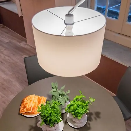 Salvago 12 * Γένοβα